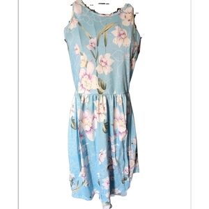 Floral Sleeveless Dress in Blue and Pink